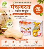 Buy Organic Panchgavya Soap at Best Price (Sabun)
