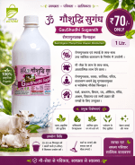 Buy Best Organic Phenyl Floor Cleaner Disinfectant 1L