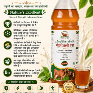 Buy Sanjivani Ras Gomutra, Godhan: B12, Immunity Booster