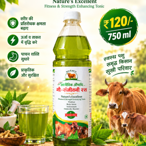 Buy Sanjivani Ras Gomutra, Godhan: B12, Immunity Booster