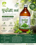 Buy Pudina Ark Juice at Price: Pudina ke Patte Fayde