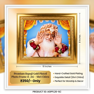 Buy Bapuji Photo Frame (L-26) - Shri Chitra