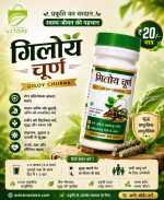 Buy Giloy Churna - Ayurvedic Churna